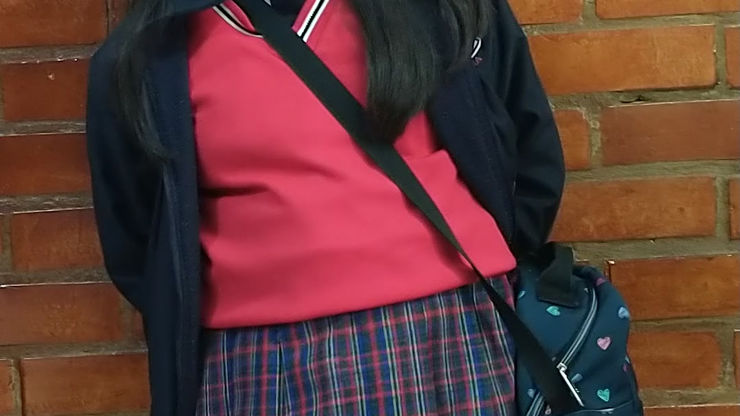 PROYECTOS DE ARTICULACION